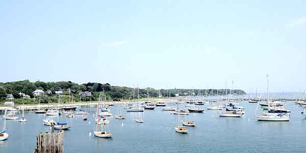 Vineyard Haven Properties