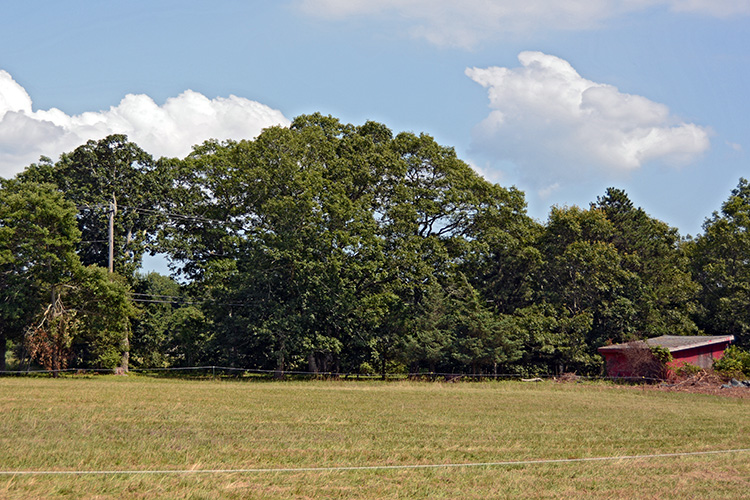 The Child Farm, West Tisbury, Martha's Vineyard