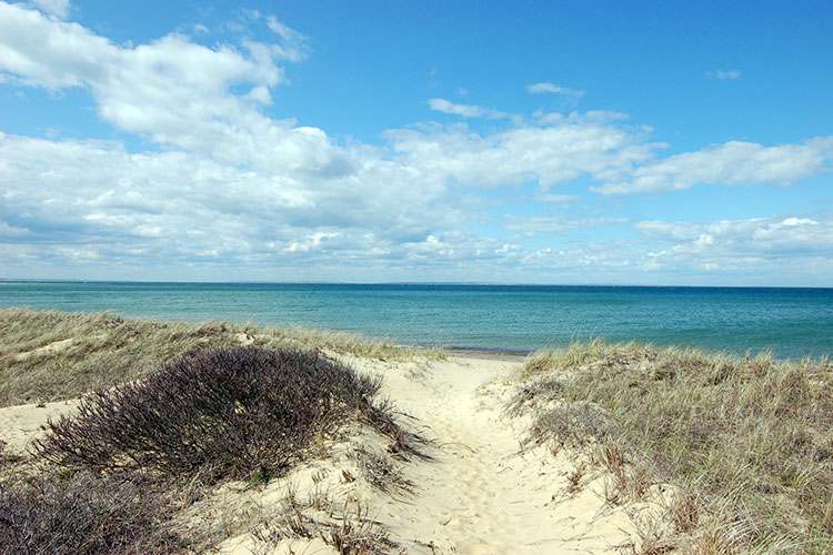 Red Gate Farm, Jacqueline Kennedy Onassis, Caroline Kennedy, Martha's Vinyeard Land Bank, Sheriff's Meadow Foundation, Aquinnah, Martha's Vineyard