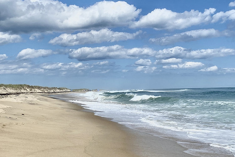 Thumb Cove, Chilmark, Martha's Vineyard