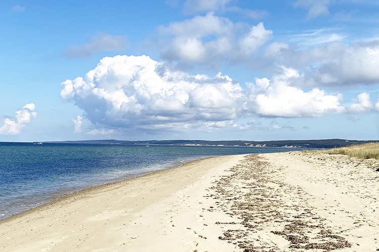 North Shore Fishing Association, Aquinnah, Martha's Vineyard