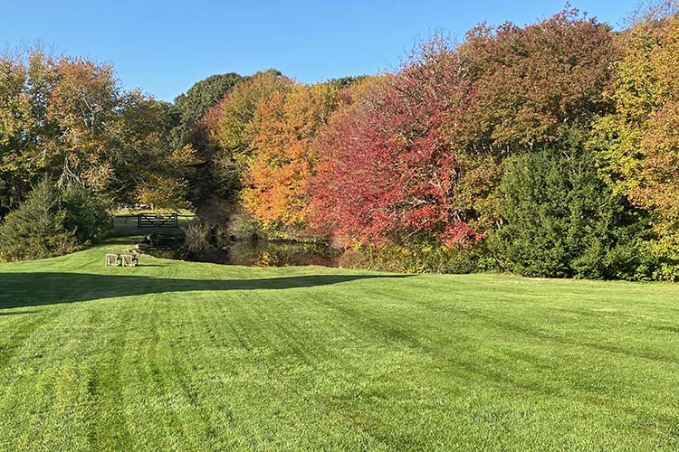 Martha's Vineyard in the fall