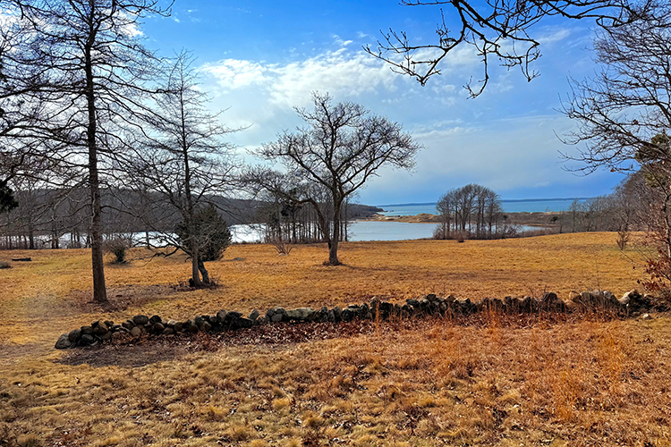 James Pond Preservie, West Tisbury - Martha's Vineyard