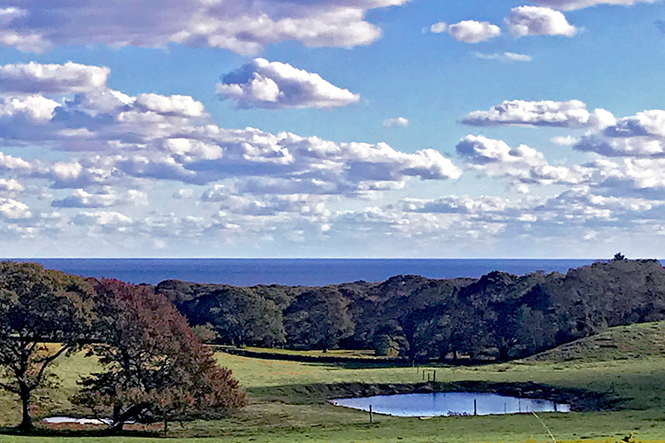 Keith Farm, Chilmark, Martha's Vineyard