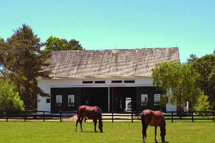 41 Cobbs Hill, Chilmark, Martha's Vineyard