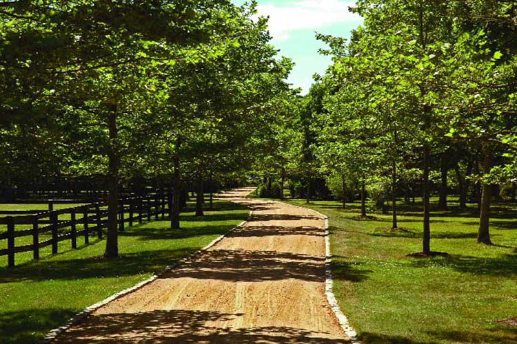41 Cobbs Hill, Chilmark, Martha's Vineyard