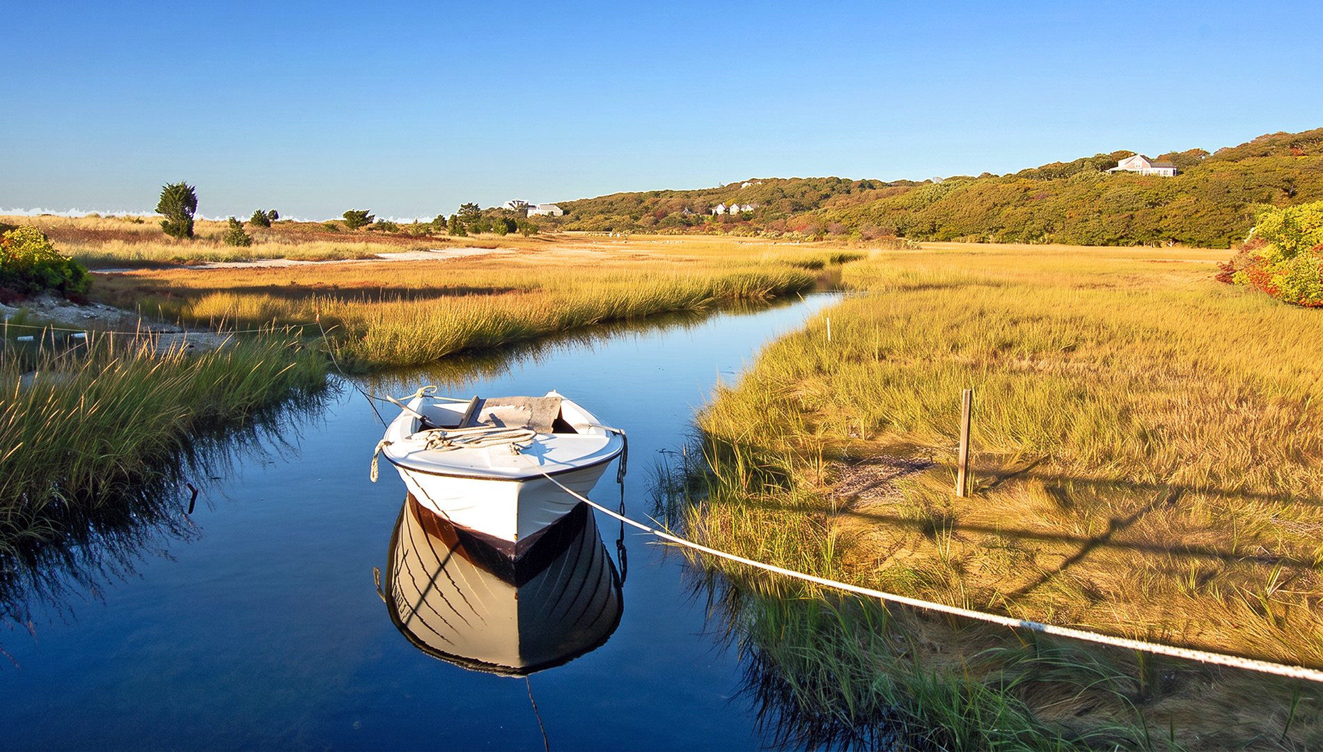 Martha's Vineyard Landscape