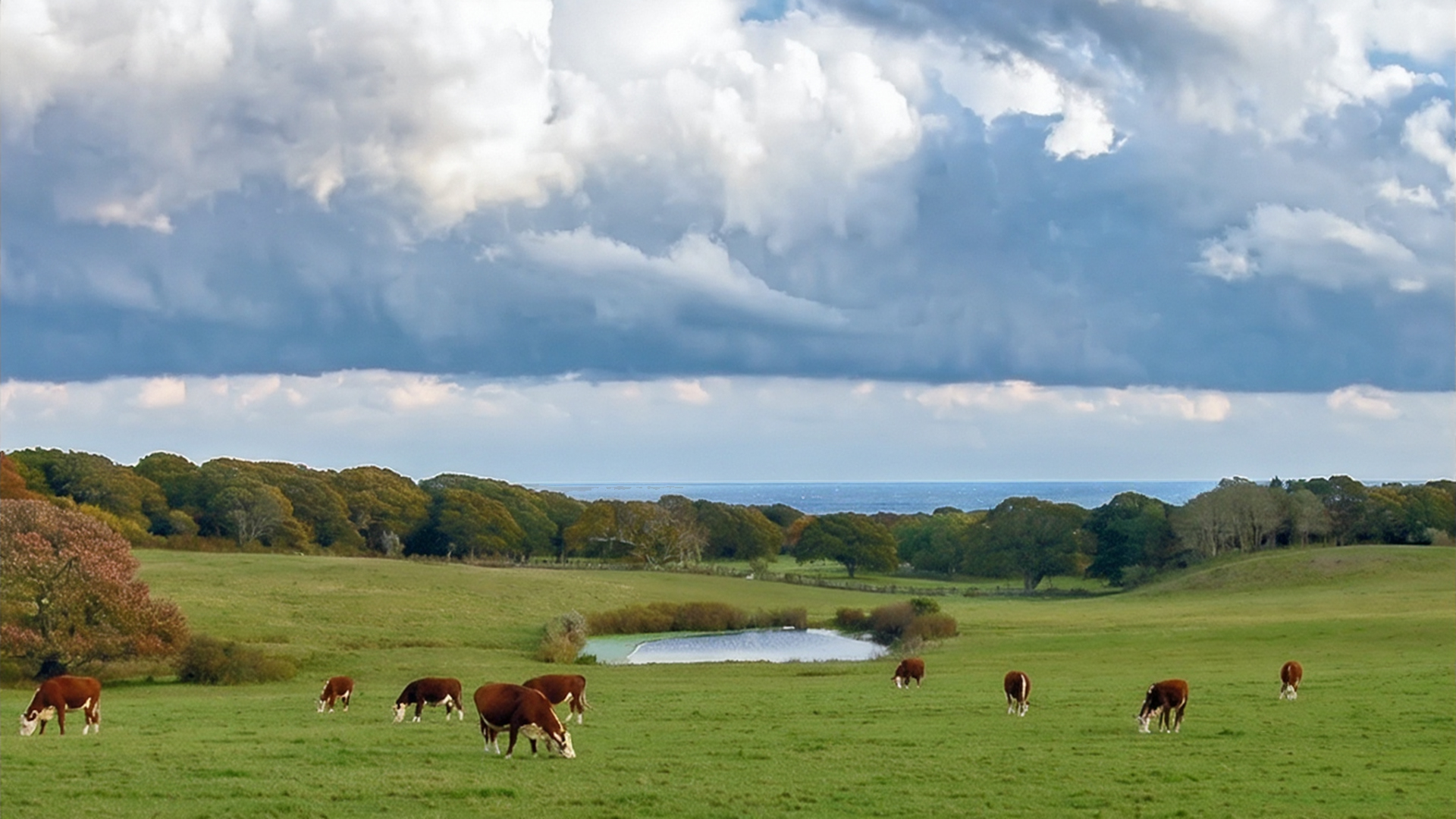 Keith Farm at Chilmark, Martha's Vineyard