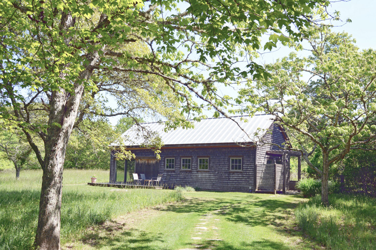 Blueberry Ridge, Chilmark