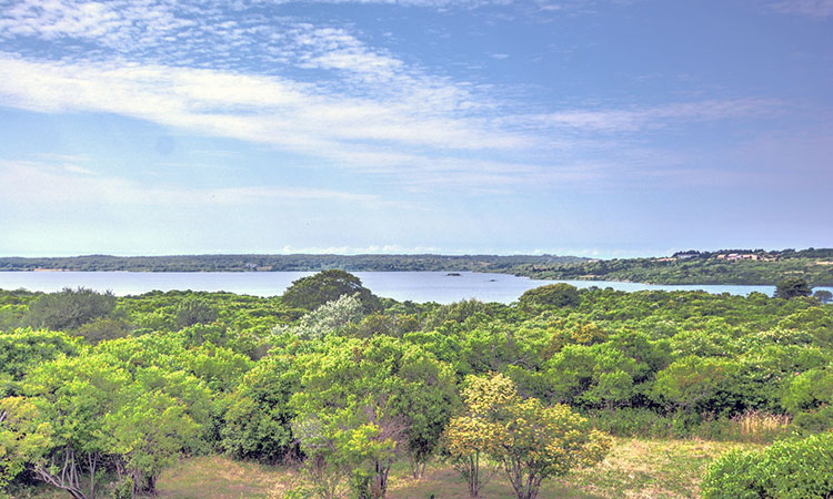 Wingate Roost, Chilmark