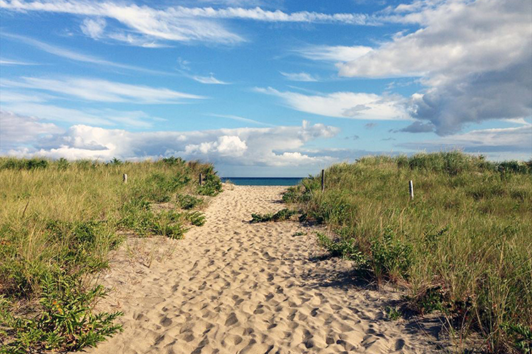 South Road, Chilmark