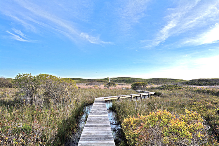 77 Moshup Trail