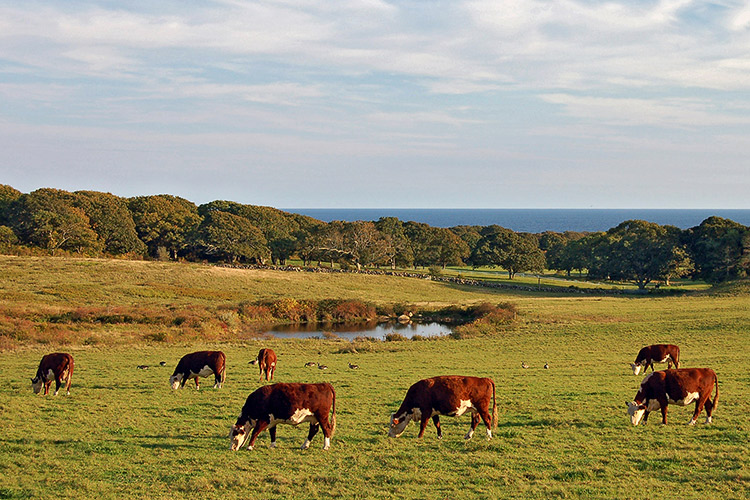 Keith Farm