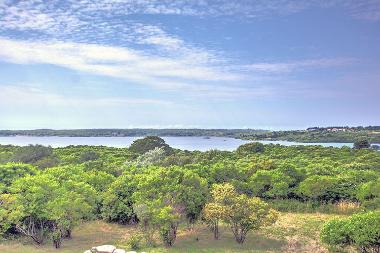 Squibnocket Beach - Wingate Roost