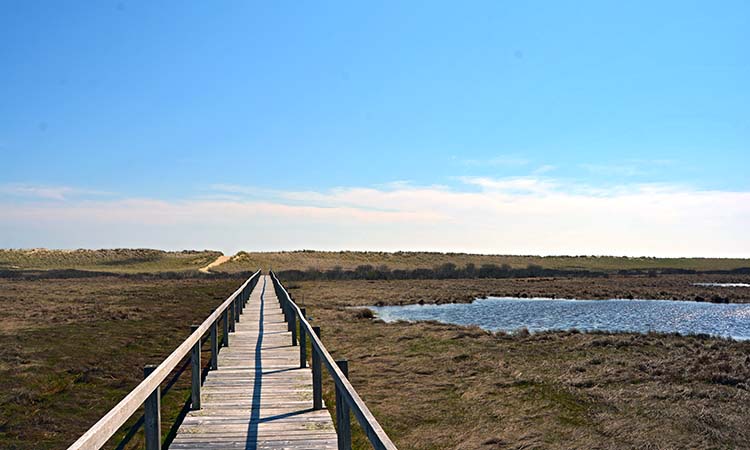 Black Point Beach - Chilmark, Martha's Vineyard