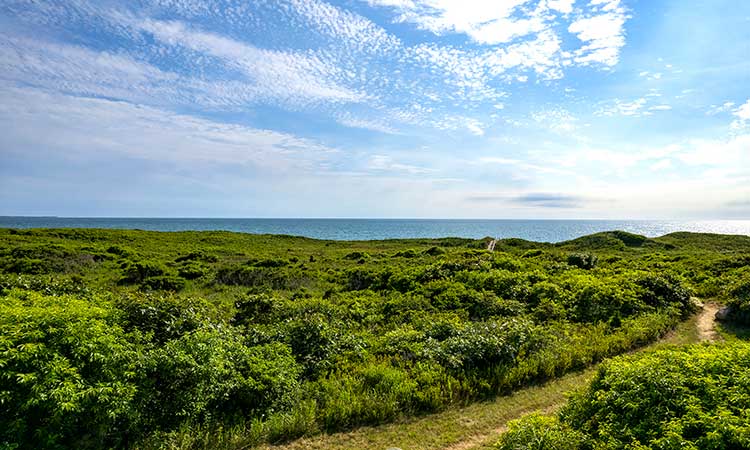 South Shore Beach Association - Aquinnah, Martha's Vineyard