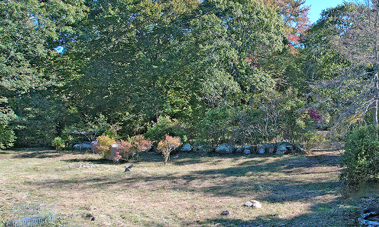 1 Crowberry Lane Chilmark, Martha's Vineyard