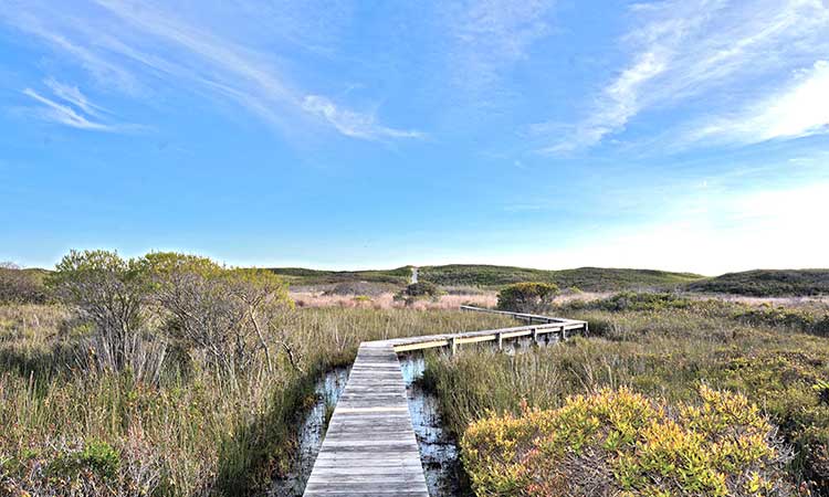 Moshup Trail Beach Lot - Aquinnah, Martha's Vineyard