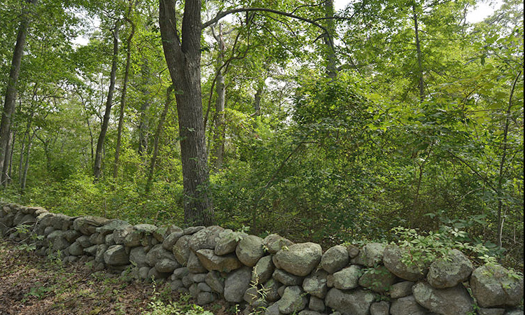 52 Longview Rd - West Tisbury, Martha's Vineyard