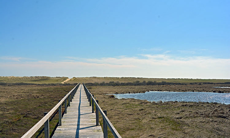 Black Point Beach