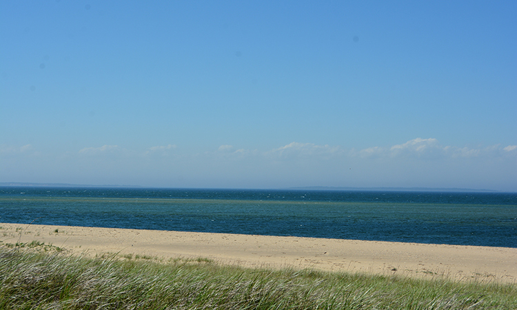 Oxcart Road - Vineyard Sound Beach, Aquinnah