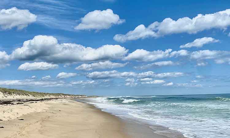 Thumb Cove - Chilmark, Martha's Vineyard