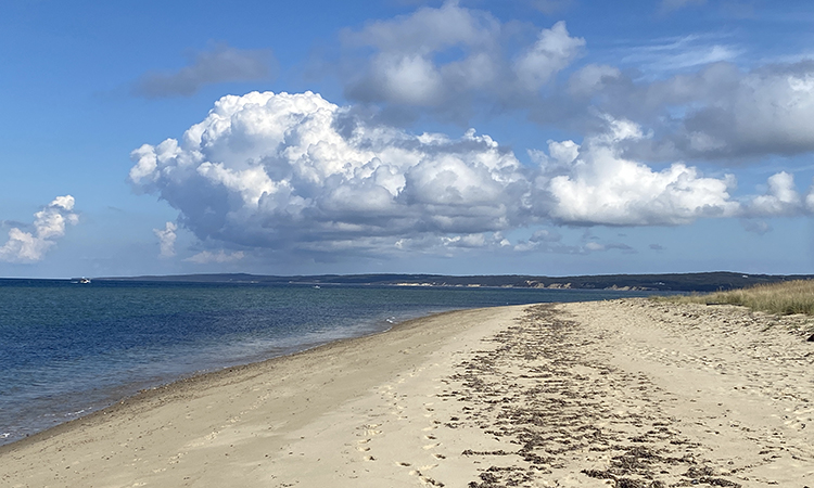 Oxcart Road - Aquinnah, Martha's Vineyard