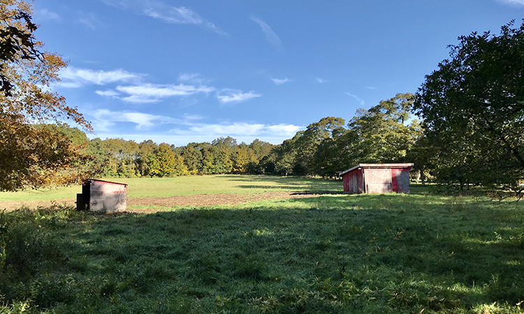 515 Lambert's Cove Road - West Tisbury, Martha's Vineyard