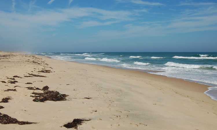 Black Point Beach