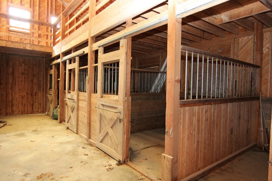 Property Photo 42