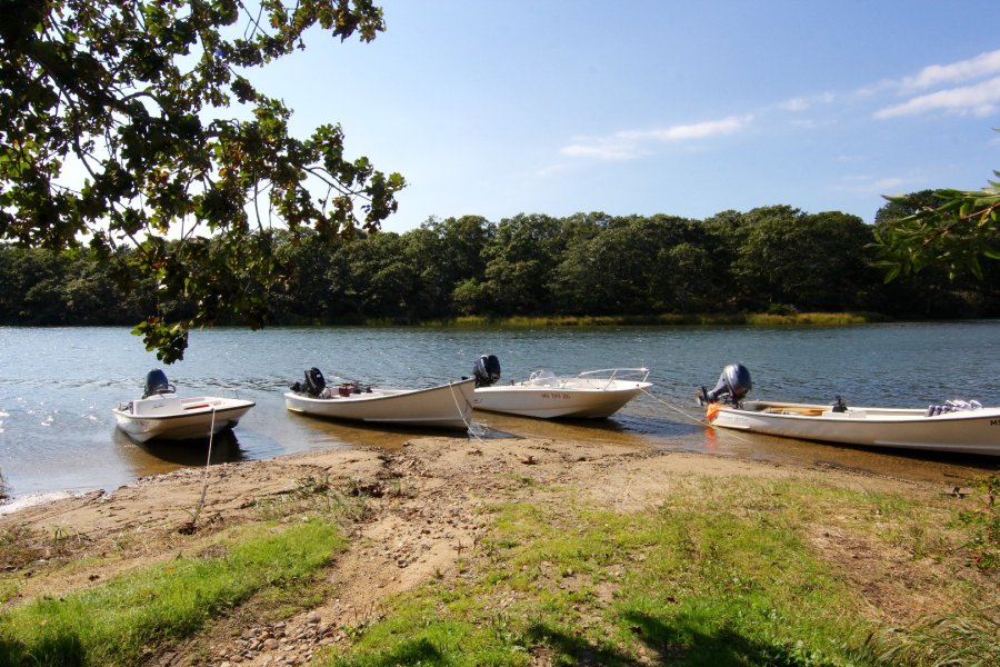 Property Photo 48