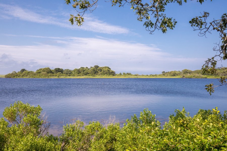 Property Photo 19