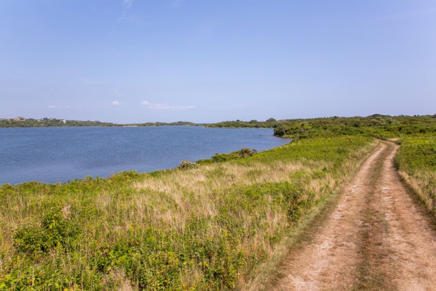 Property Photo 20