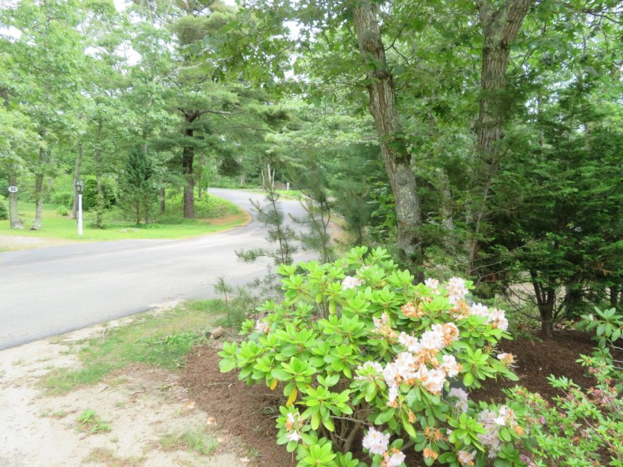Property Photo 41