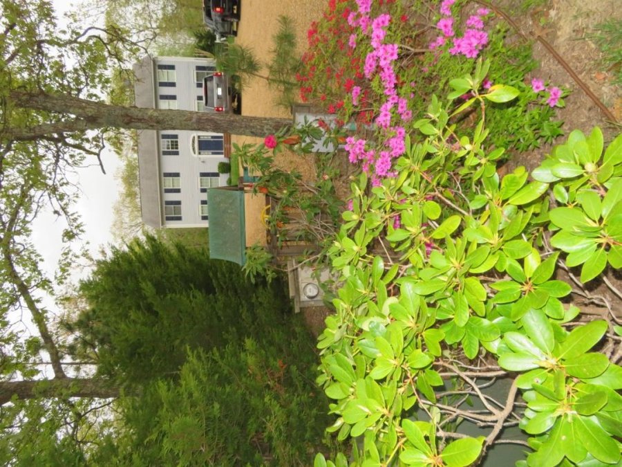 Property Photo 44