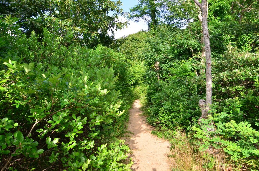 Property Photo 62