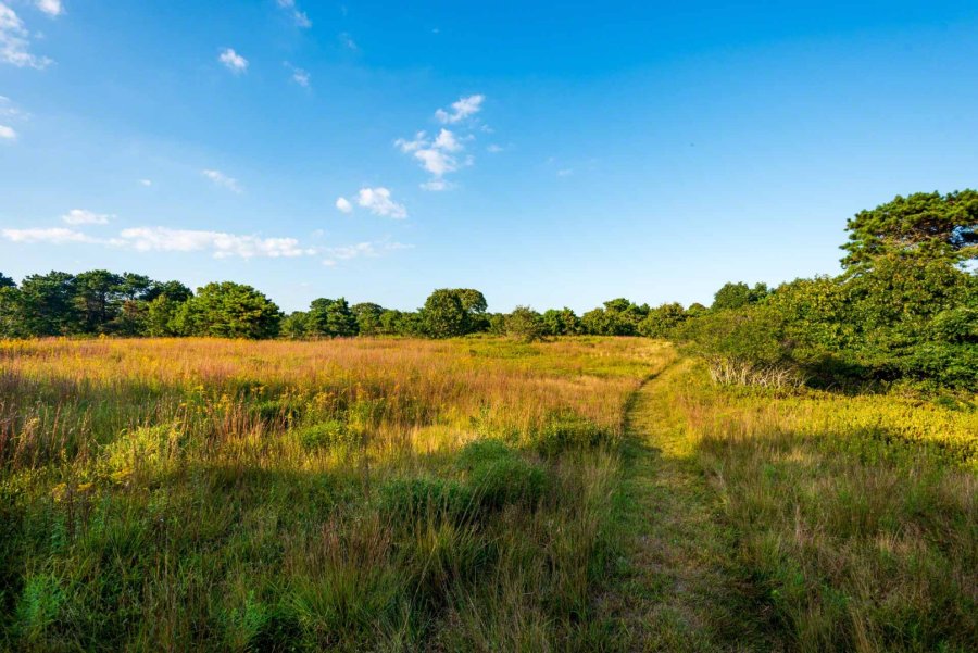 Property Photo 62