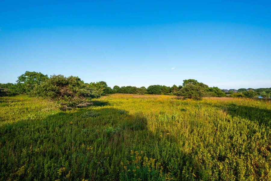Property Photo 63