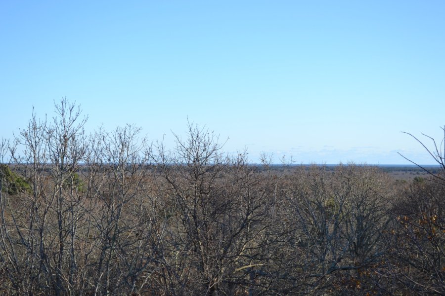 Property Photo 21