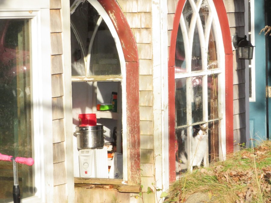 Property Photo 16