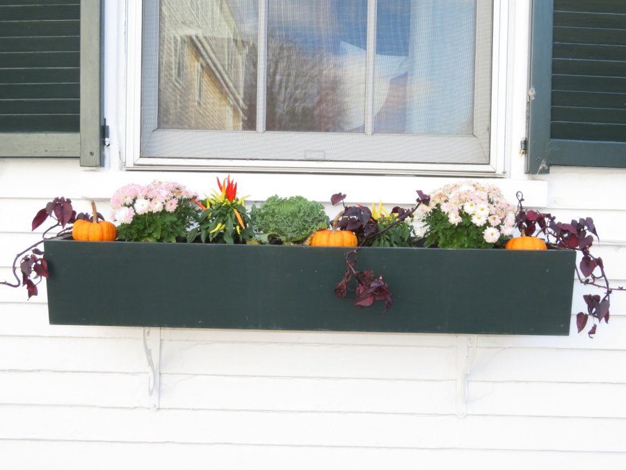 Property Photo 26