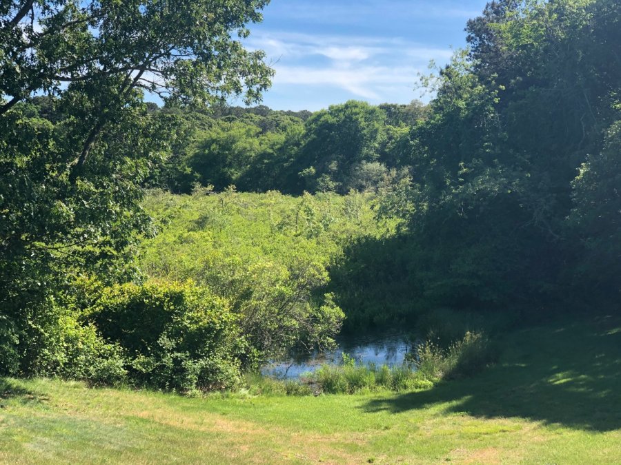 Property Photo 36