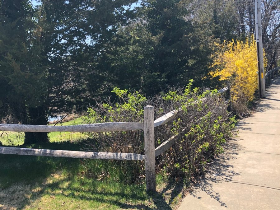 Property Photo 34