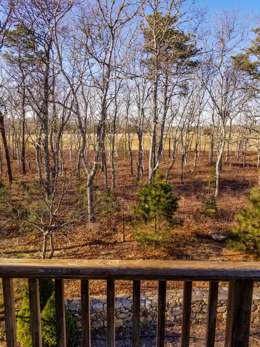 Property Photo 47