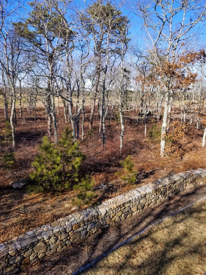 Property Photo 44