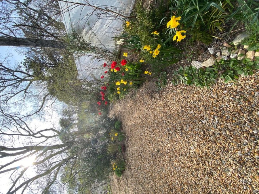 Property Photo 47
