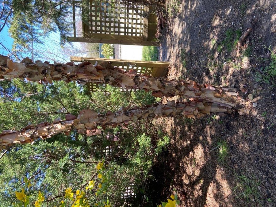 Property Photo 57