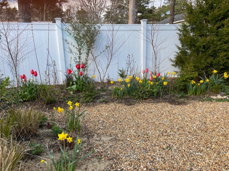 Property Photo 53