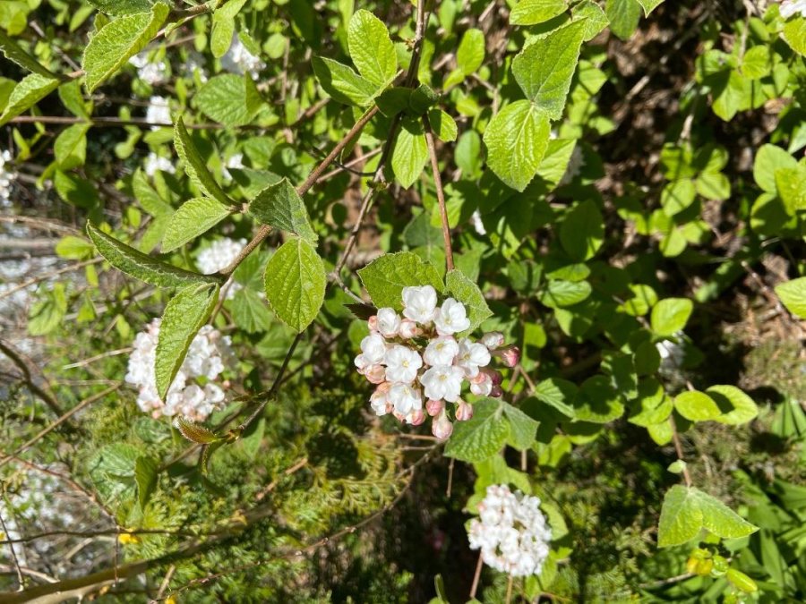 Property Photo 49