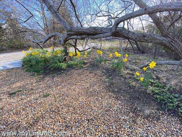 Property Photo 45